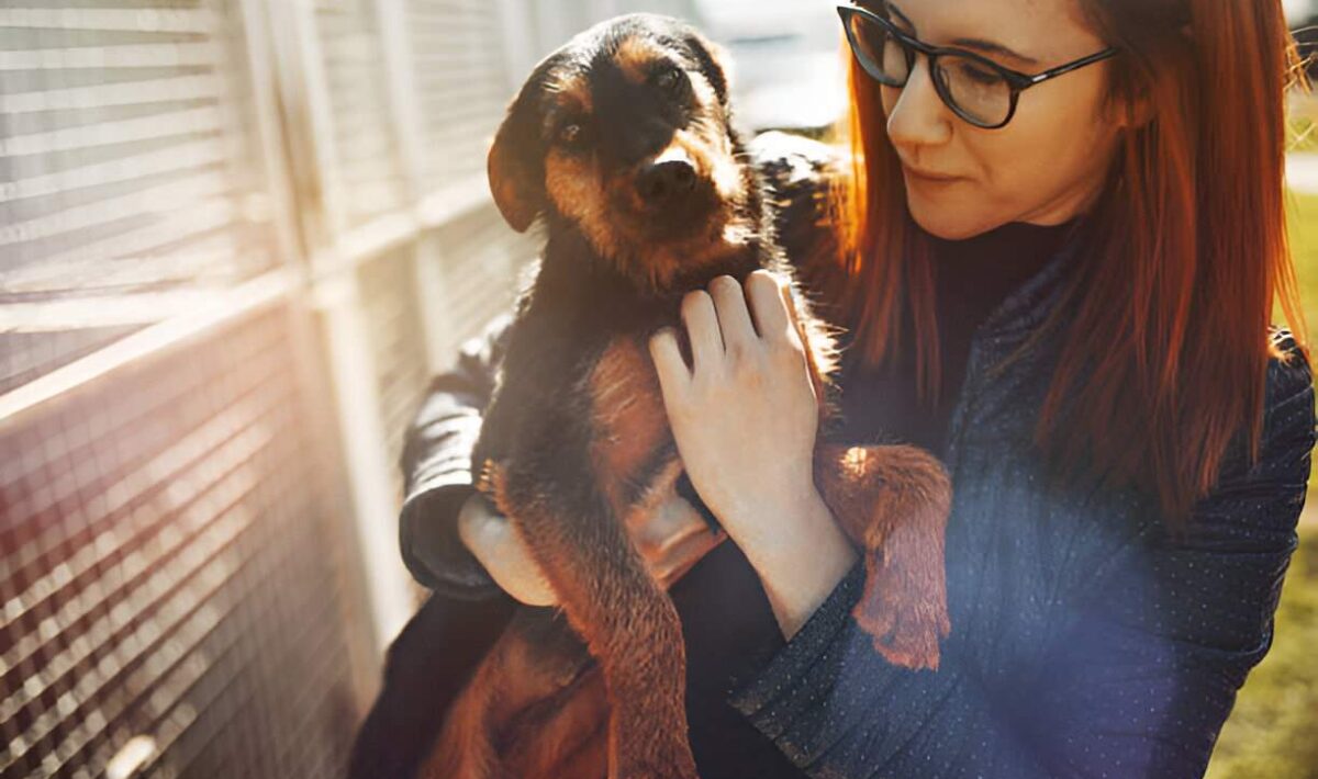 considerations key for aspiring dog owners